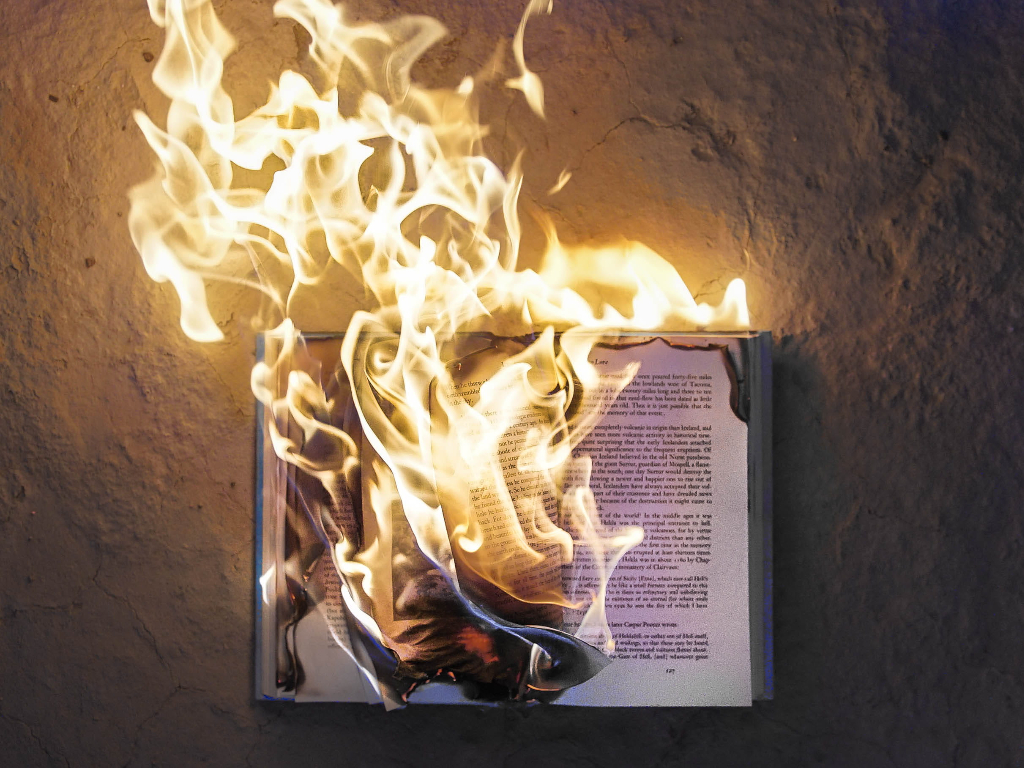 A list of lives turned upside down by the anti-free speech, anti-individual, anti-America push of the radical left’s “cancel culture”