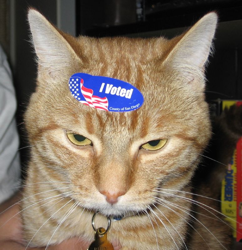 Republicans ask Supreme Court to intervene in Rhode Island case involving witness requirements for absentee ballots
