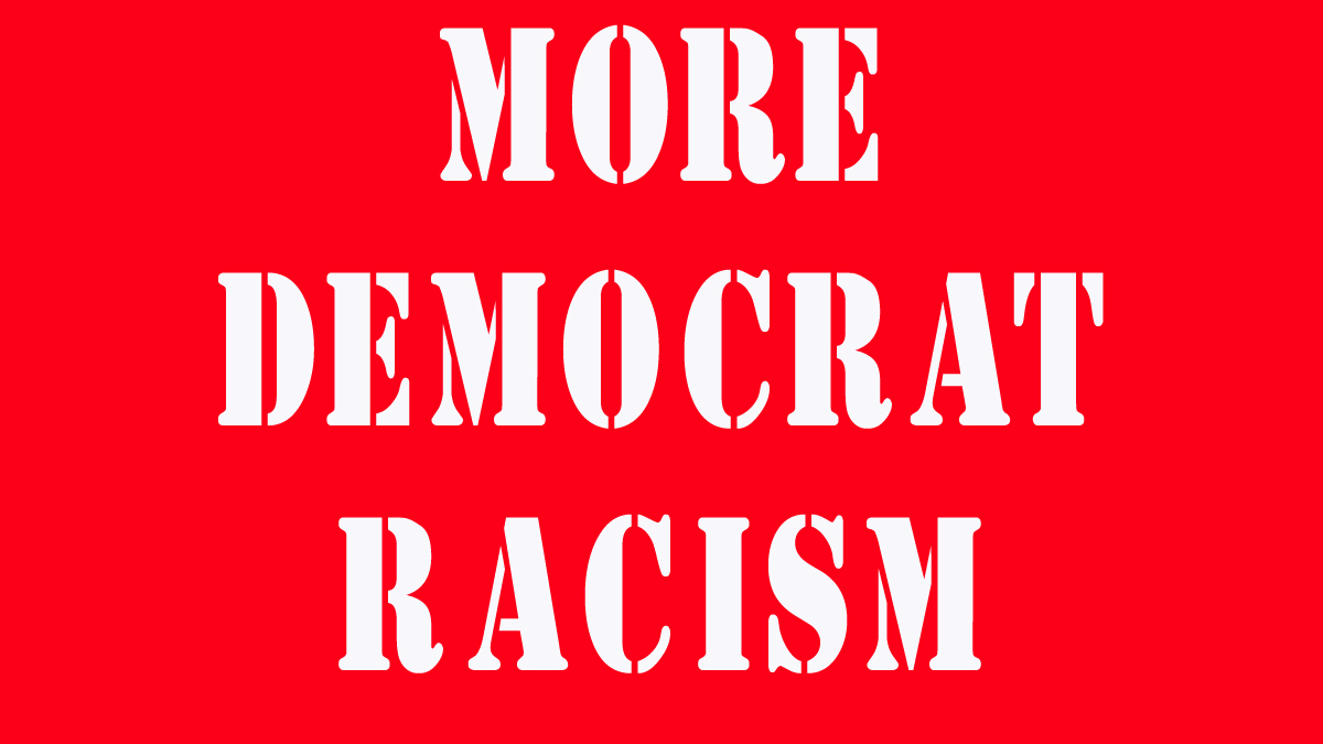 If you have any question in your mind that the entire Democrat ticket is nothing but a bunch of race-pimps, read and watch this: