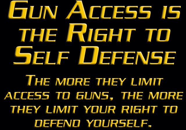 RI 2nd Amendment Coalition: URGENT! GUN RIGHTS IN JEOPARDY – RI Democrats using dead children to take you right to self defense away!