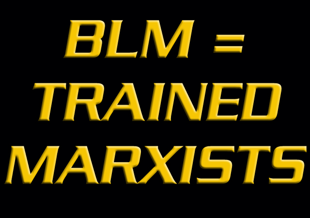 Racist & Marxist Black Lives Matter Leader Calls For ‘Black Vigilantes’ To Enact ‘Justice’ Following Daniel Penny’s Acquittal Because He Thinks He Knows Better Than a Jury