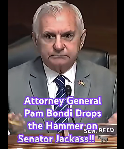 Pam Bondi makes Jack Reed look like the clueless moron he is
